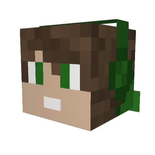 SpenZ9 Minecraft avatar head, 3D render