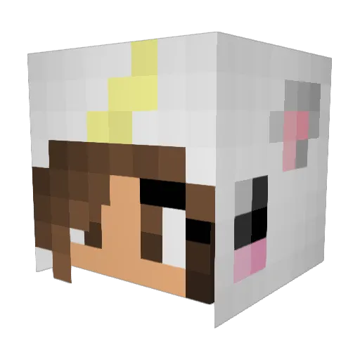 SpenceMiner23 Minecraft avatar head, 3D render