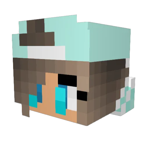 SpenceMiner39 Minecraft avatar head, 3D render