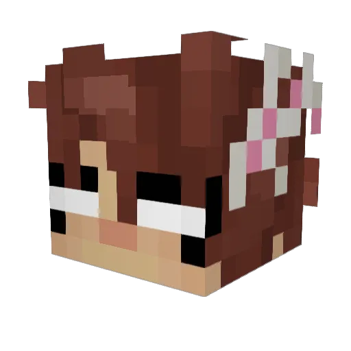 Spence_A_Bugs Minecraft avatar head, 3D render