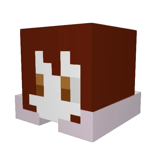 Spencerleo Minecraft avatar head, 3D render