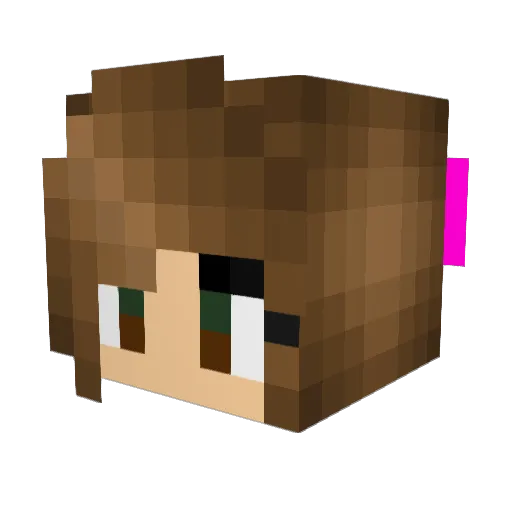 Spencerqt Minecraft avatar head, 3D render