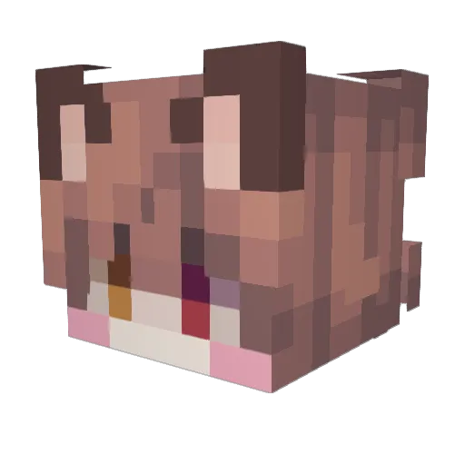 SpencywenC Minecraft avatar head, 3D render