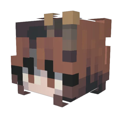Spengaspang Minecraft avatar head, 3D render