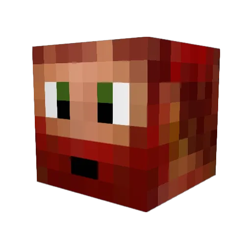 Spentxlr8tion Minecraft avatar head, 3D render