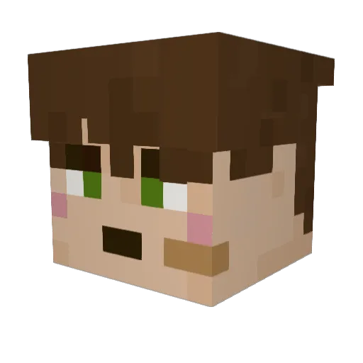 SpetsnazPenguin Minecraft avatar head, 3D render