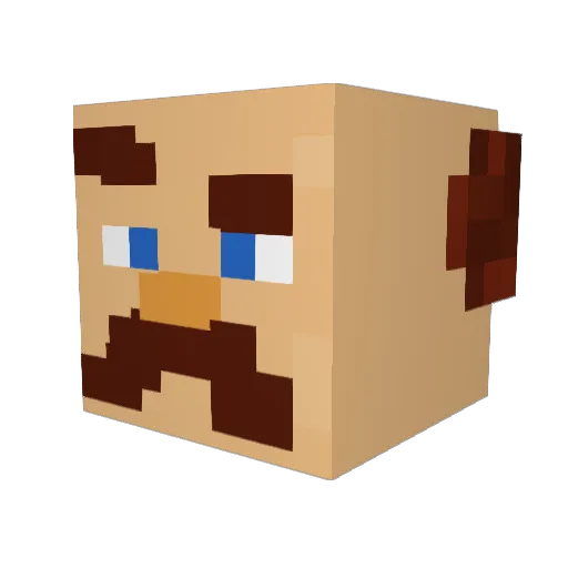 Spettre Minecraft avatar head, 3D render