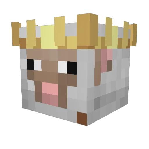 SphericShelf111 Minecraft avatar head, 3D render