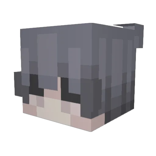 Sphienex Minecraft avatar head, 3D render