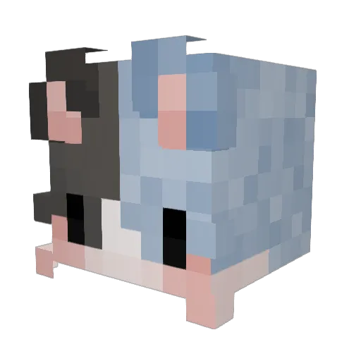 Sphinx_Binx_37 Minecraft avatar head, 3D render