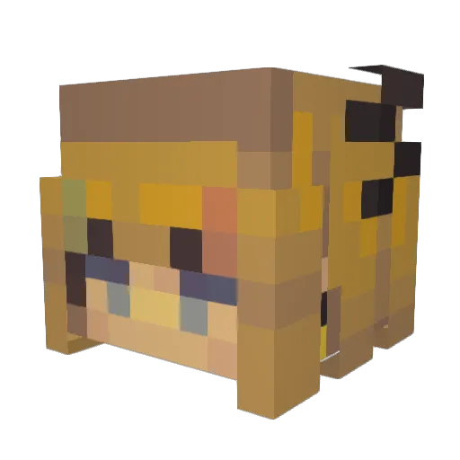 Sphyellia Minecraft avatar head, 3D render
