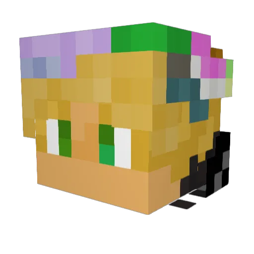 Sphyniix Minecraft avatar head, 3D render