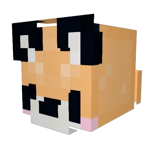 SpicedWing Minecraft avatar head, 3D render
