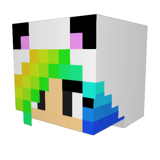 Spiced_panda Minecraft avatar head, 3D render
