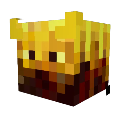 SpiceyDude Minecraft avatar head, 3D render