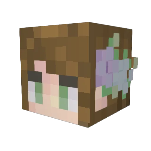 SpiceyPumpkinz Minecraft avatar head, 3D render