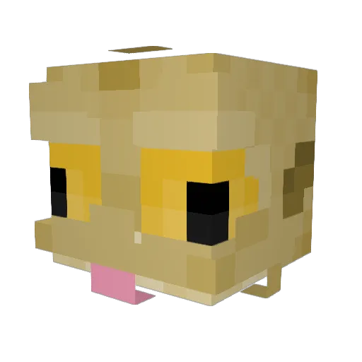 Spicey_Turtle Minecraft avatar head, 3D render