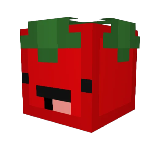 SpiciestBurrito Minecraft avatar head, 3D render