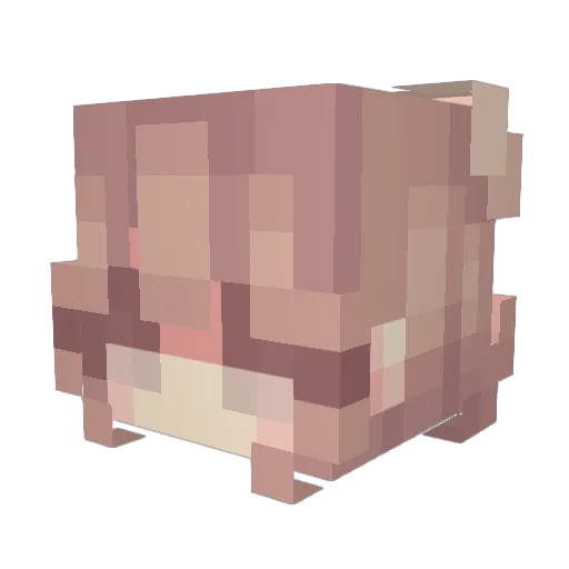 SpiciestNoodle Minecraft avatar head, 3D render
