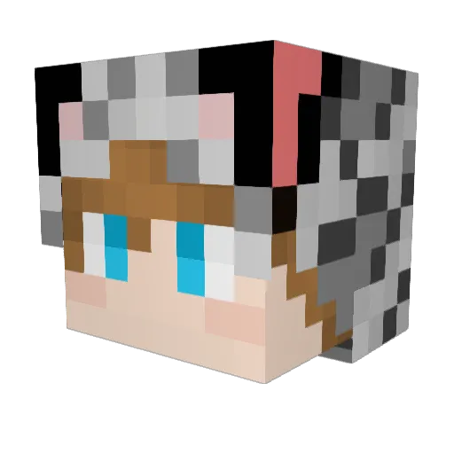 SpiciestSalt Minecraft avatar head, 3D render