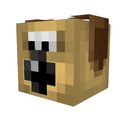 SpicyFajitas Minecraft avatar head, 3D render