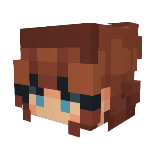 SpicyGaRoo Minecraft avatar head, 3D render