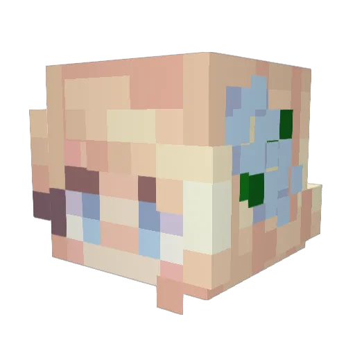 SpicyHoot Minecraft avatar head, 3D render