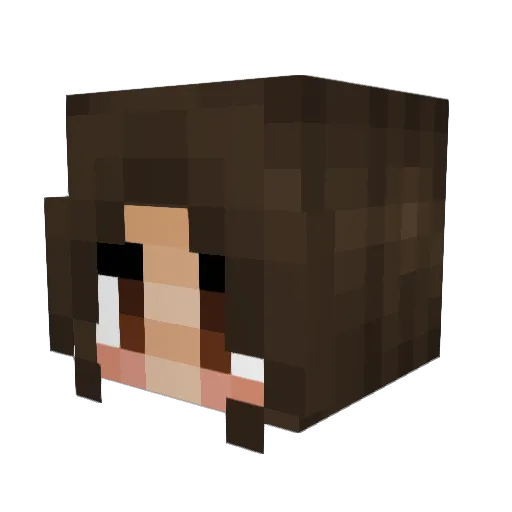 SpicyKipNuggets Minecraft avatar head, 3D render