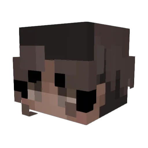 SpicyMizture Minecraft avatar head, 3D render