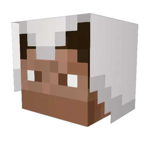 SpicyMonkey8 Minecraft avatar head, 3D render