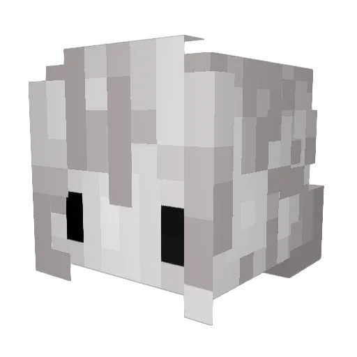SpicyRice21 Minecraft avatar head, 3D render