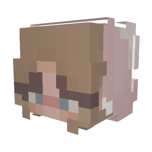SpicySharky Minecraft avatar head, 3D render
