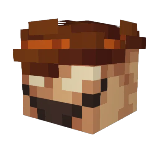 SpicySmores Minecraft avatar head, 3D render