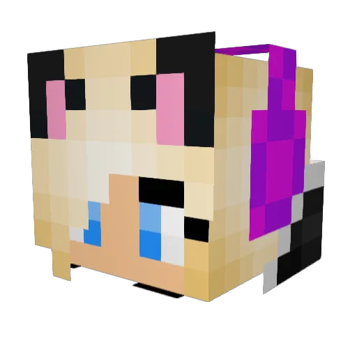 SpicySpaghet Minecraft avatar head, 3D render