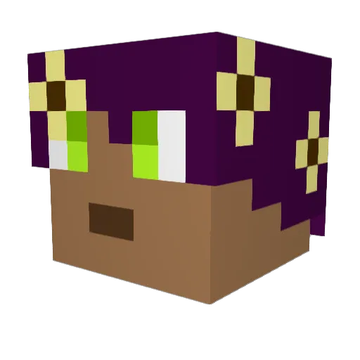 SpicyWater00 Minecraft avatar head, 3D render