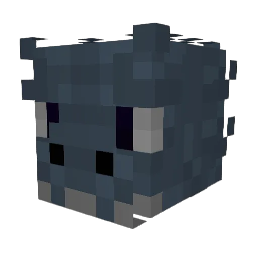 Spicy_Pitaya Minecraft avatar head, 3D render