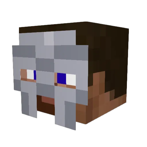 Spicy_Soda Minecraft avatar head, 3D render