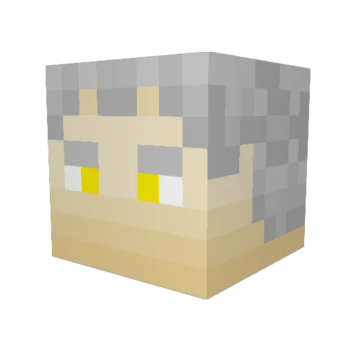Spicy__Wolf Minecraft avatar head, 3D render