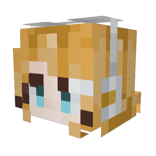 Spicywxter Minecraft avatar head, 3D render