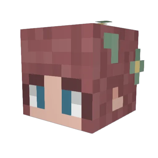SpicyxBiscuit Minecraft avatar head, 3D render