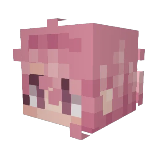 Spid3rl1lies Minecraft avatar head, 3D render