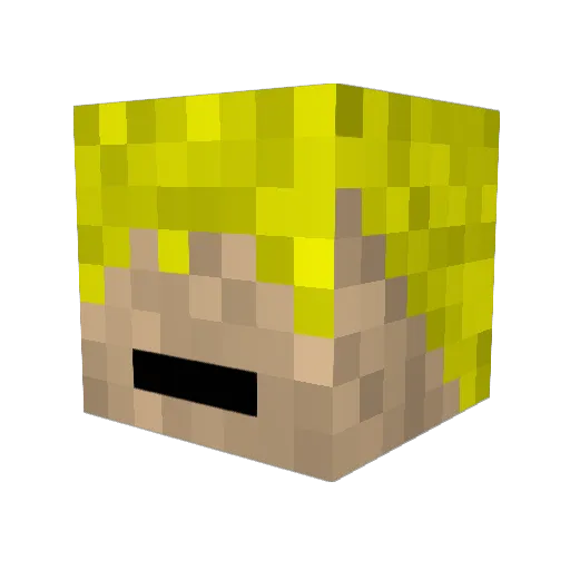 SpidaPig17 Minecraft avatar head, 3D render