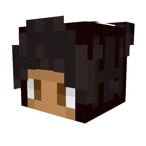 Spidahmonki Minecraft avatar head, 3D render