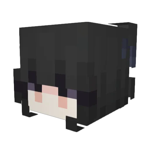 Spide_R Minecraft avatar head, 3D render