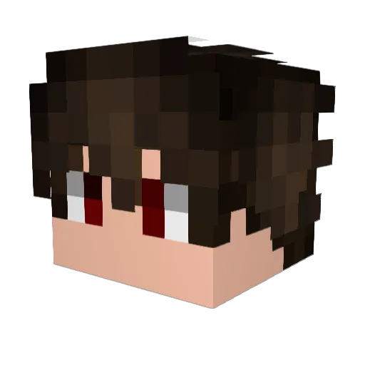 Spideer Minecraft avatar head, 3D render