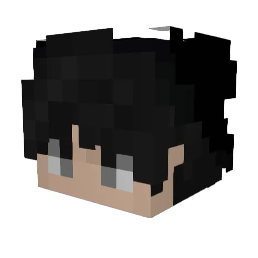 Spideer_ Minecraft avatar head, 3D render