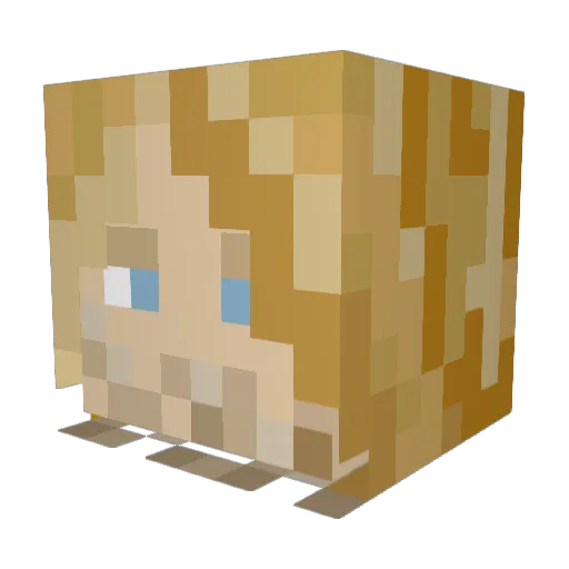 Spider6306 Minecraft avatar head, 3D render