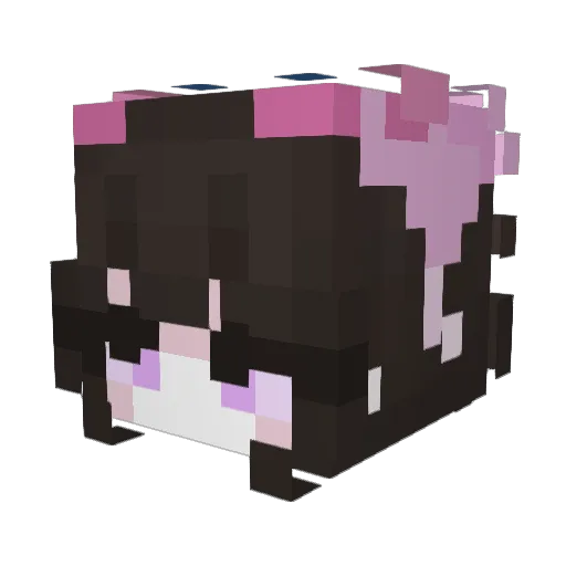 Spider6u6 Minecraft avatar head, 3D render