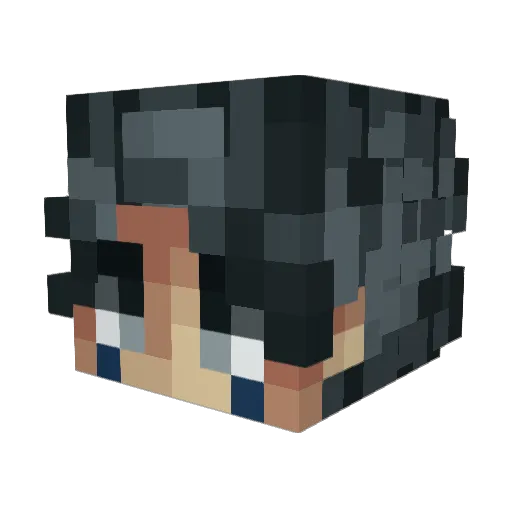 SpiderChris98 Minecraft avatar head, 3D render