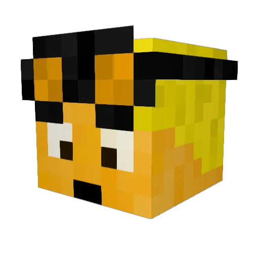 SpiderFlameTypeY Minecraft avatar head, 3D render